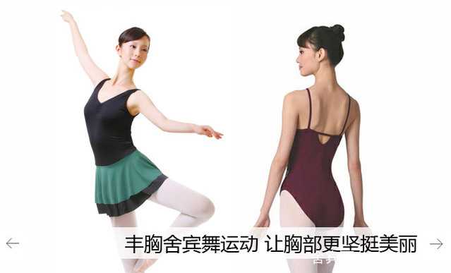 舍宾的类别