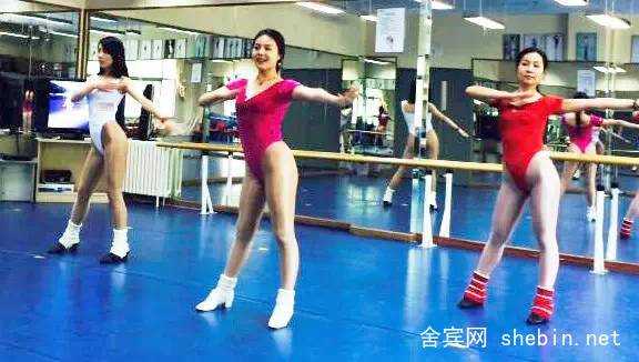 舍宾和瑜伽一样吗？舍宾和瑜伽有什么不同